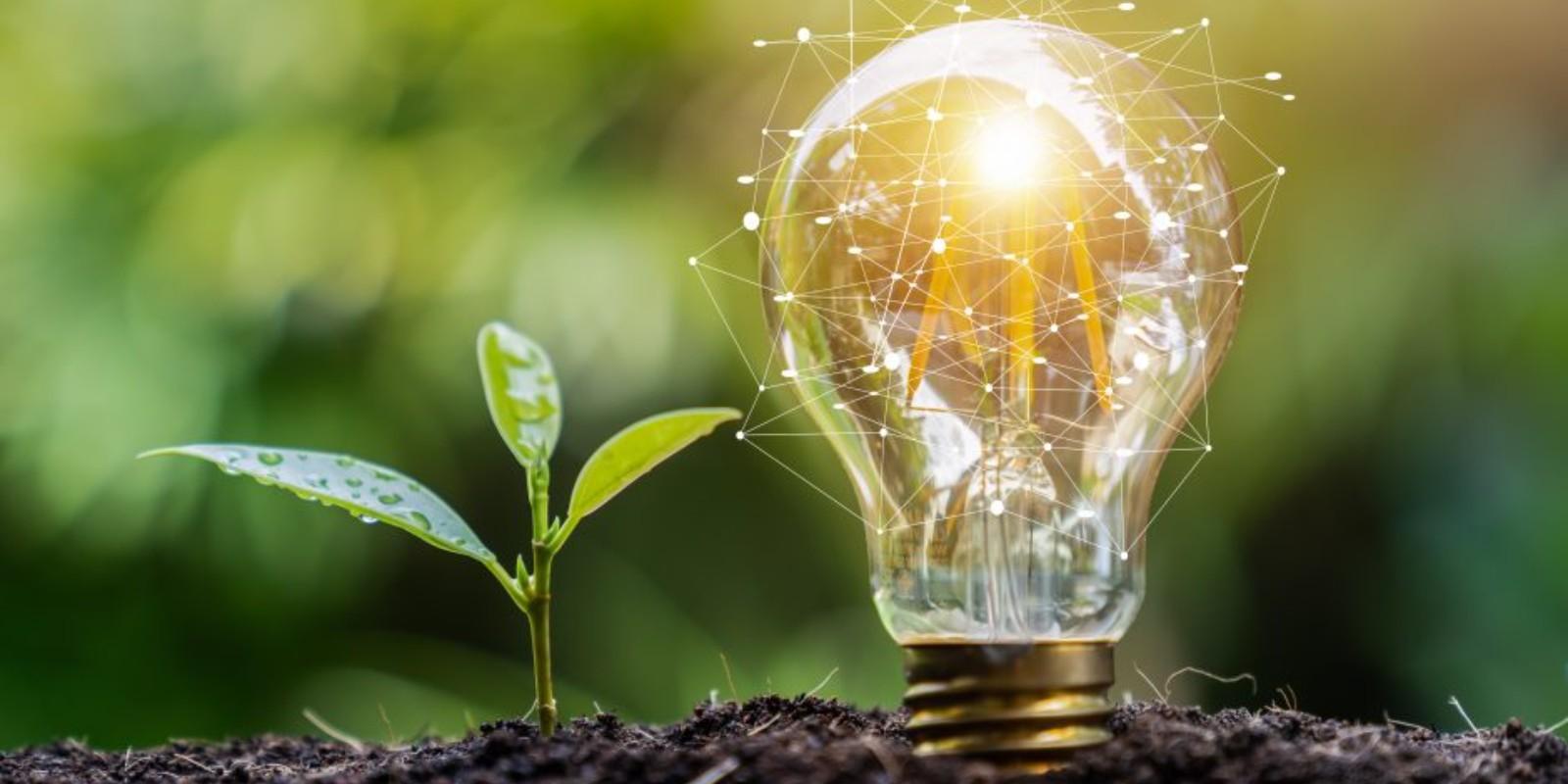 Viviendas Eficientes en el Bages: Tu Futuro Sostenible